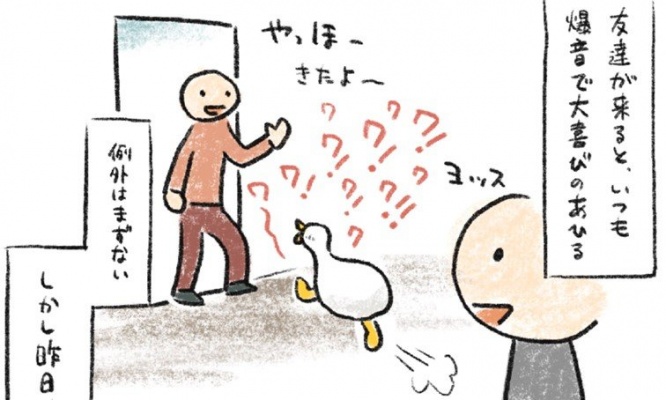 爆音鳴き声アヒルさん、飼い主お昼寝中に友達が来ると... 賢すぎる「配慮」に9万人感心
