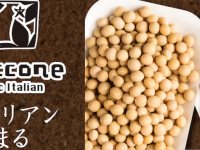 ソイタリアン