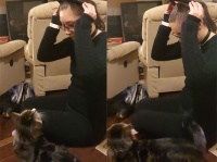猫耳をつけてみたら、リアル猫が超警戒。距離を置かれてしまった件