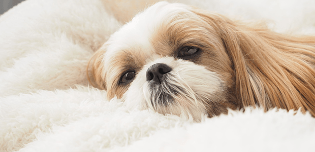 「Doctors Me（ドクターズミー）」コラム画像