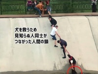 貯水池に落ちた見知らぬ犬を助けたい。1人で水に入って犬を確保した男性から始まったやさしい人間の鎖