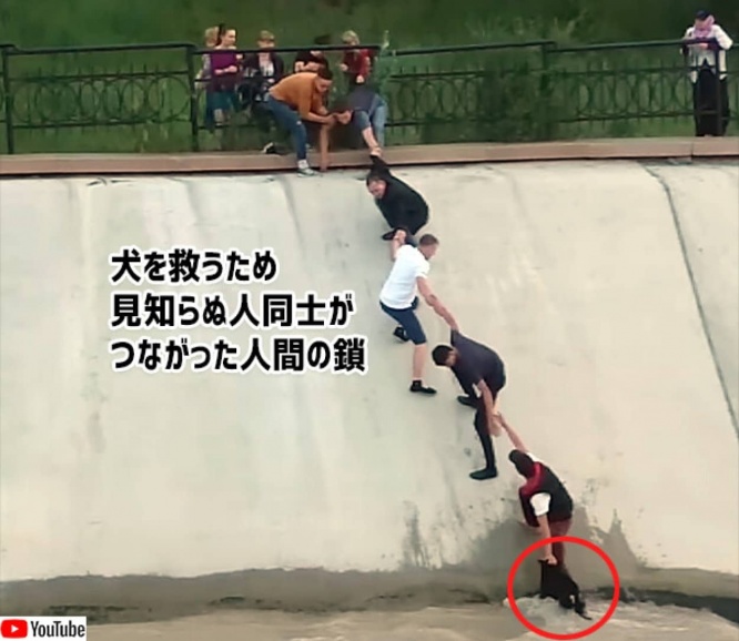 貯水池に落ちた見知らぬ犬を助けたい。1人で水に入って犬を確保した男性から始まったやさしい人間の鎖
