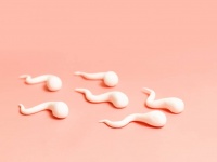精子を気絶させ一時的に動けなくする男性用避妊薬を開発