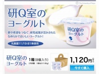 公式サイト