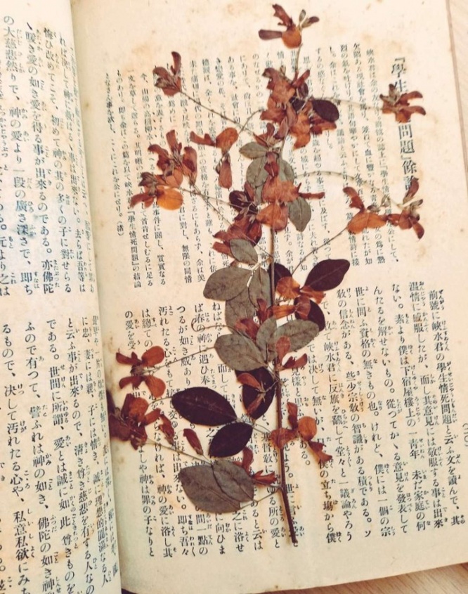 「古書森羅」(@kosyosinra)さんのツイートより