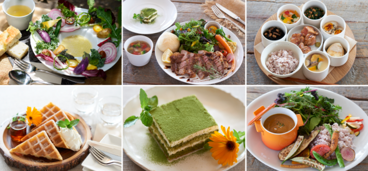 石坂産業株式会社のプレスリリース画像