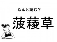 【難読】なんの草？「菠薐草」の正しい読み方