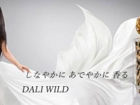 PAMインターナショナルのプレスリリース画像
