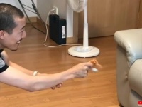 さあ、大丈夫だから飛んでごらん！子犬の初めてのジャンプを励ます飼い主さんのニコニコ