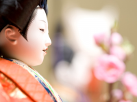 有限会社　ビットシステムのプレスリリース画像