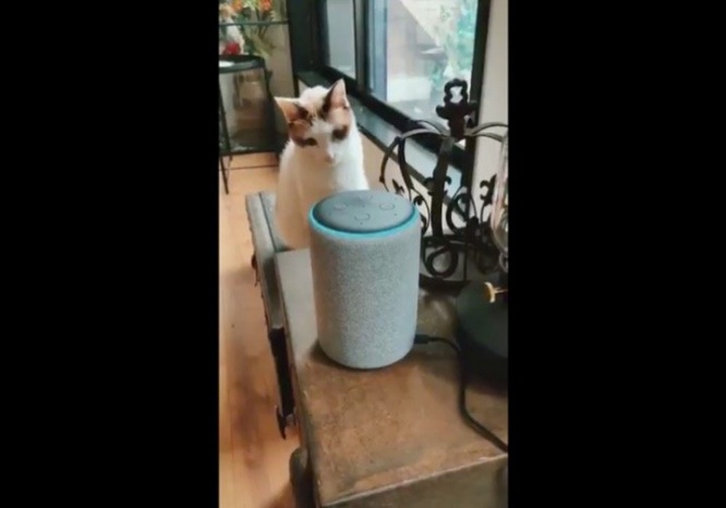 興味津々（蛇蔵さんのツイートより、編集部でキャプチャ）