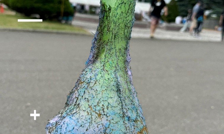 「ネウロの魔界道具感ある」　かわいい〝わたあめ〟が5分後にまさかの変貌　衝撃の姿に16万人動揺