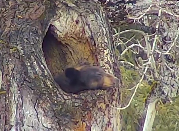 スクリーンショット-(806)