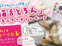 株式会社ビューティーワールドのプレスリリース画像