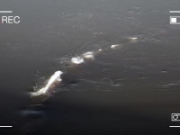 川を泳ぐ正体不明の氷のモンスターが出現！？　ネット上で話題に