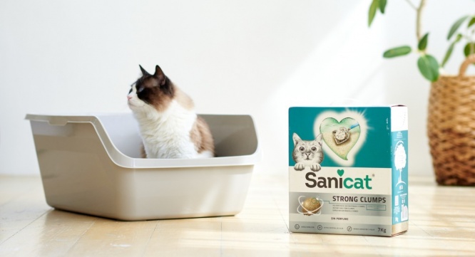 株式会社オーエフティーのプレスリリース画像