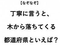 ヒント：木から落ちるものといえば？