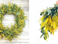 カイト株式会社のプレスリリース画像