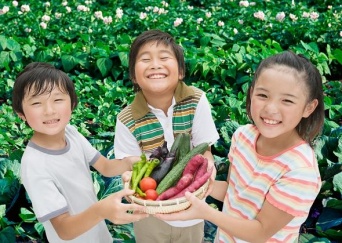 住友化学園芸株式会社のプレスリリース画像