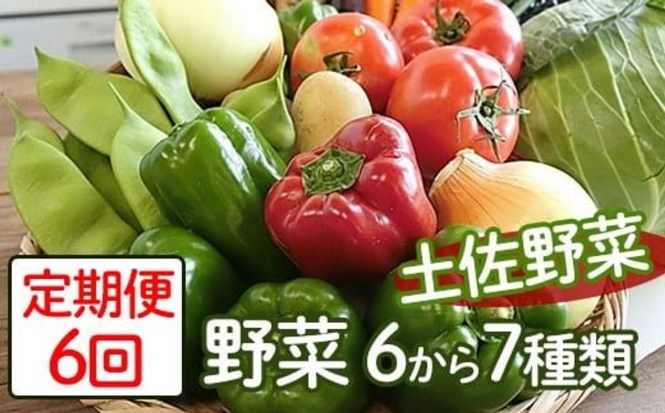 高知県 安芸市「定期便6回「安芸ブランド」新鮮お野菜詰め合わせセット 6~7種類」30000円(ふるさとチョイスより)