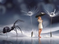 お前はオレを怒らせた。気候変動がクモを攻撃的にさせるという研究結果（カナダ研究）※クモ出演中