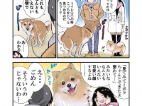 石原さんのツイートより