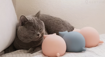 株式会社Glotureのプレスリリース画像