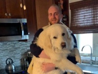 巨大なグレートピレニーズ犬の子犬を抱く飼い主の写真に関する海外の反応