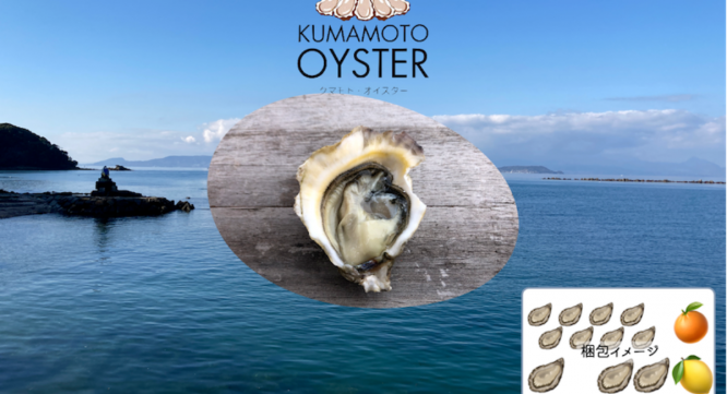 fao agrocommunicationのプレスリリース画像