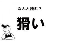 【難読】“かつい”じゃない！　「猾い」の正しい読み方