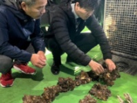 鈴木憲和農水相の公式Xより