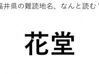 ヒント：はな○○○