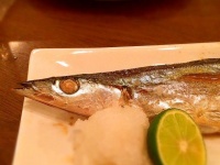 画像はイメージです（JaggyBossさん撮影、Flickrより）