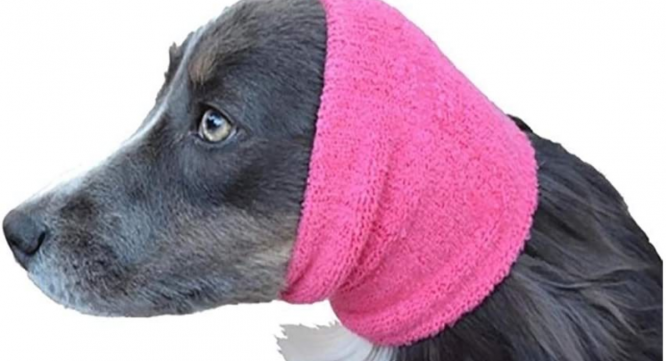 株式会社ローズクリエイトのプレスリリース画像