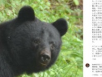 鈴木健太秋田県知事の公式インスタグラムより