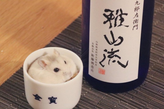 ぼんぼり＠じゃんがりハム日和（＠bombori777）さんのツイートより