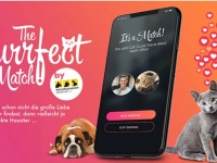 マッチングアプリで保護動物と未来の飼い主の出会いをアシストする取り組みがドイツでスタート