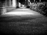 今年登場した「不審者」を特集（Taichiro Uekiさん撮影、flickrより）