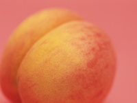 「桃の皮も食べていた」　にしおかすみこ
