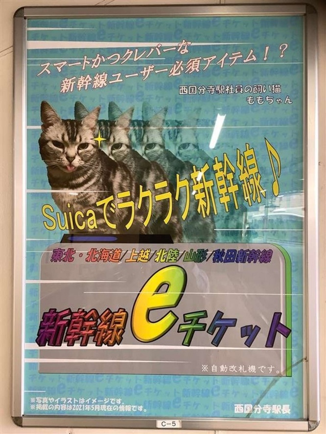 駅社員の飼い猫がモデルさん？（以下、画像はJR東日本八王子支社提供）