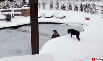 無我夢中の救出劇。凍ったプールに薄着で飛び込み、素手で氷を割りながら愛犬を救い出した女性