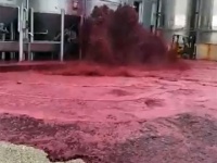 血の海みたいなことに！ワイナリーのタンクが破壊、5万リットルもの赤ワインが通りに流出（スペイン）