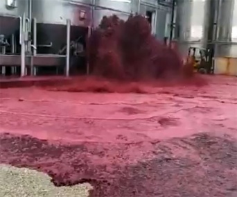 血の海みたいなことに！ワイナリーのタンクが破壊、5万リットルもの赤ワインが通りに流出（スペイン）
