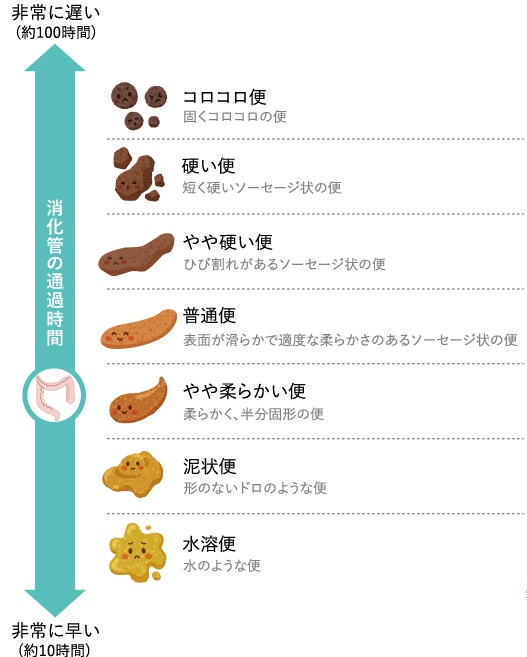 便の硬さグラフ