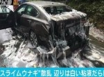笑えない…　トレーラーが横転し、道路一面“白い粘液”だらけに。