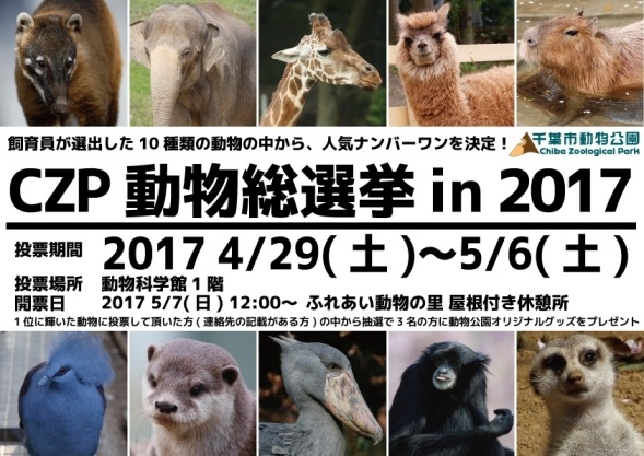 「CZP動物総選挙in2017」告知ポスター（画像提供：千葉市動物公園）