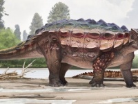 恐竜の新種発見。アメリカ・ユタ州でアジアと北アメリカをつなぐ陸橋を渡った7600万年前の恐竜の化石が発見される