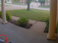 郵便物を盗もうとしていたのは世界最小の泥棒だった！？監視カメラでその正体が明らかに（アメリカ）