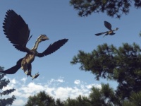 恐竜と鳥をつなぐミッシングリンクはどのようにして発見されたのか？