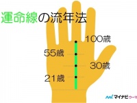 大人になると現れる手相。「運命線」の見方